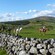 Horseback riders travel through green fields in Ireland